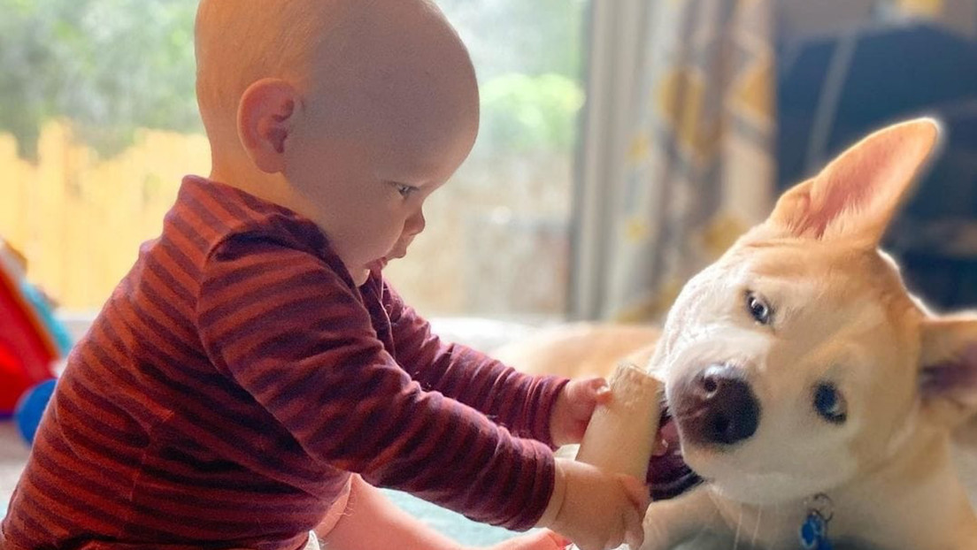 El inesperado beneficio para la salud de los bebés de tener un perro en casa