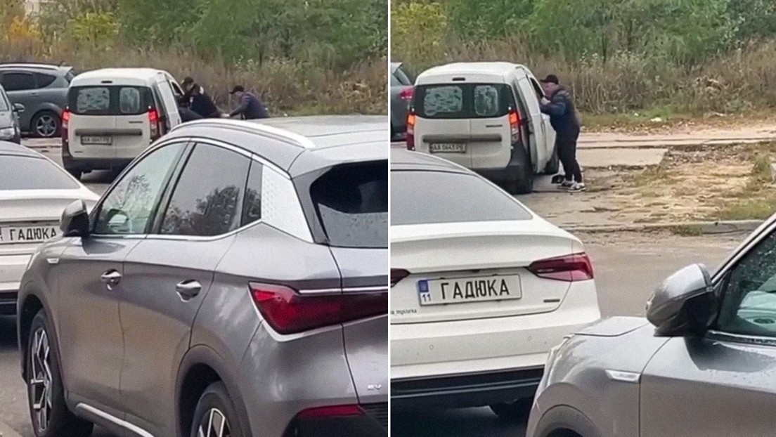 VIDEO: Después de un gato, 'movilizan' en Ucrania a un perro junto con su dueño