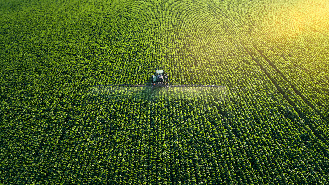 Fertilizantes: otra 'arma secreta' de Rusia