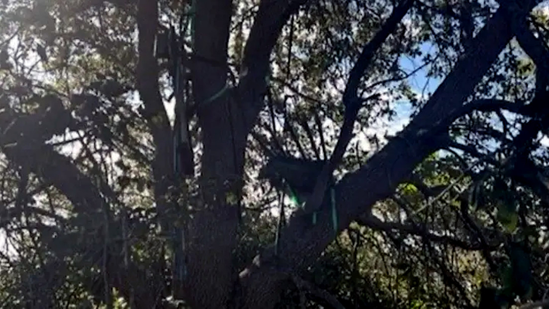 El FBI investiga una posición de caza con línea de visión directa hacia la salida del Air Force One de Trump