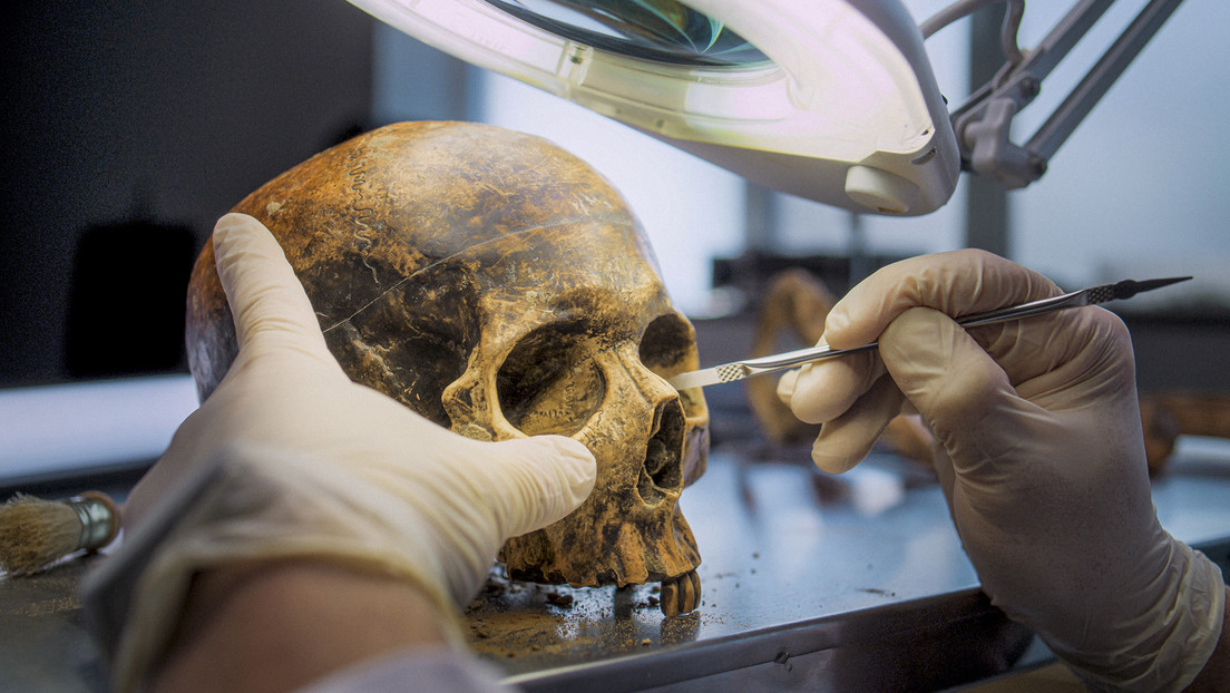 Una intoxicación durante millones de años pudo haber influido en el cerebro de los humanos modernos