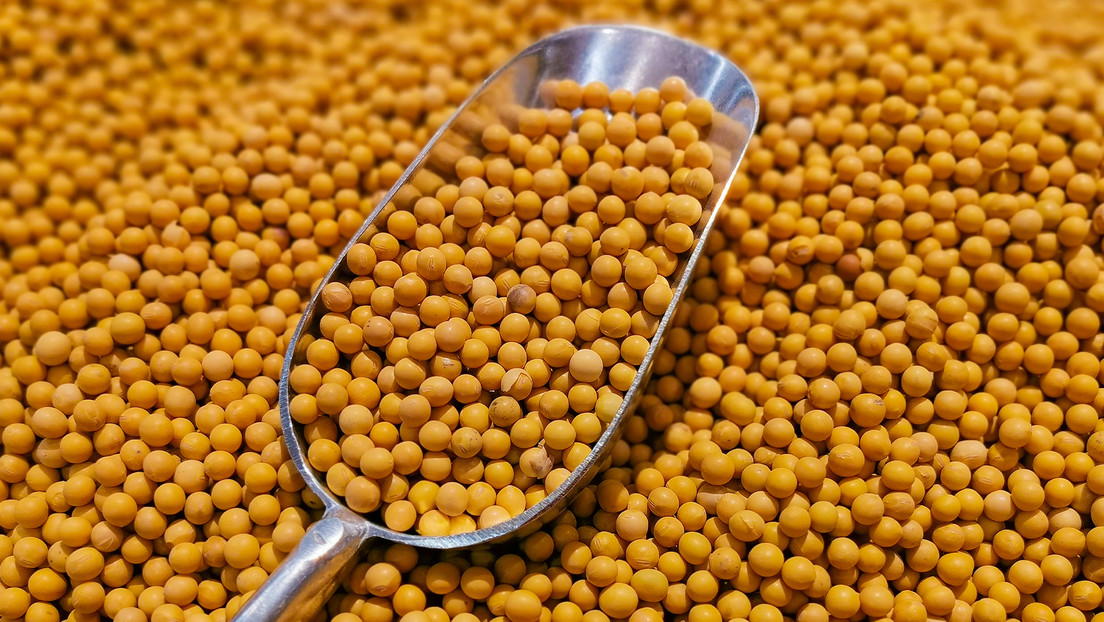 Los dos gigantes latinoamericanos que desplazan a EE.UU. en el mercado chino de soya
