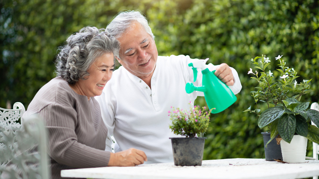 ¿Quiere saber si está envejeciendo sano? Haga estas simples pruebas