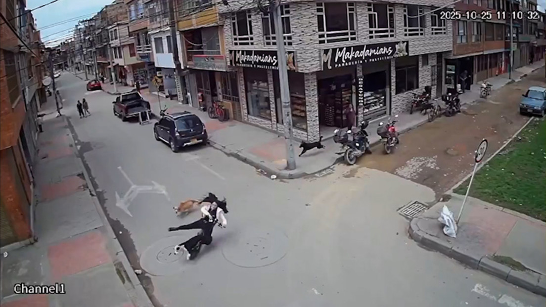 VIDEO: Jauría de perros tumba a una joven de su patinete eléctrico