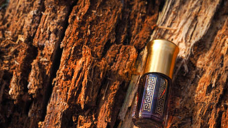 El secreto de la codiciada madera que es más valiosa que el oro