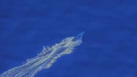 EE.UU. promete seguir con sus ataques tras bombardear otra lancha cerca de Venezuela