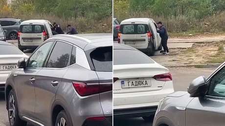 VIDEO: Después de un gato, 'movilizan' en Ucrania a un perro junto con su dueño