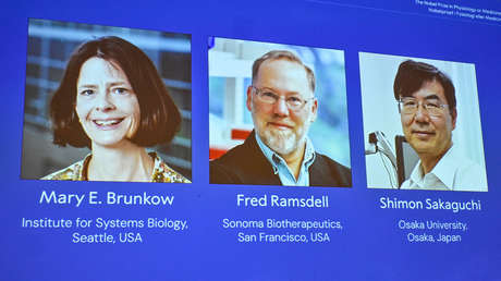 El Comité del Nobel logra contactar con un ganador del premio de Medicina