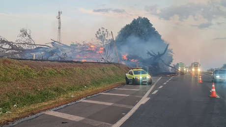 Músico muere al caer un árbol en llamas sobre su auto cuando regresaba de su luna de miel