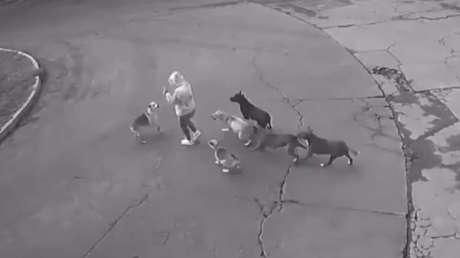 VIDEO: Jauría de perros ataca a una mujer, pero huyen ante un 'forastero de cuatro ruedas'