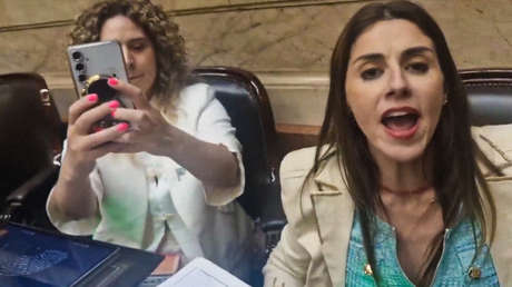 "Parásito del Estado": la discusión de dos diputadas argentinas que terminó entre manotazos y gritos