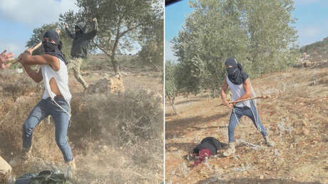 Colonos israelíes atacan brutalmente a agricultores palestinos (VIDEO)
