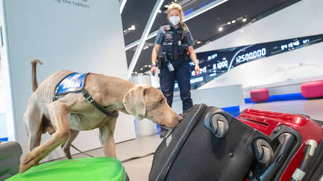 El 80 % de los condenados por narcotráfico en EE.UU. son estadounidenses