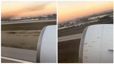 VIDEO: Avión vuela cubierto de sangre tras chocar con pájaros