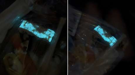 "Nunca había visto nada igual": joven compra "sushi fluorescente" y no se atreve a comerlo