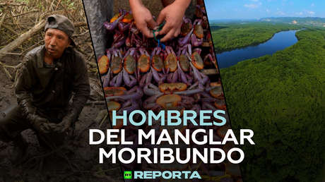 Hombres del manglar moribundo
