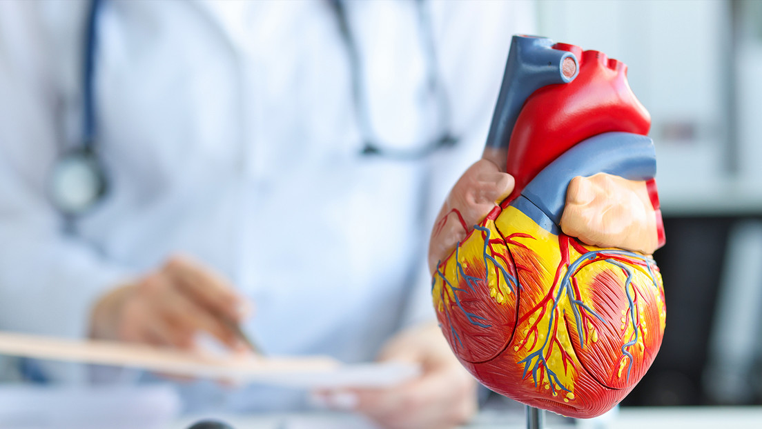 "Cambia el paradigma": Hacen un hallazgo de gran importancia sobre nuestro corazón