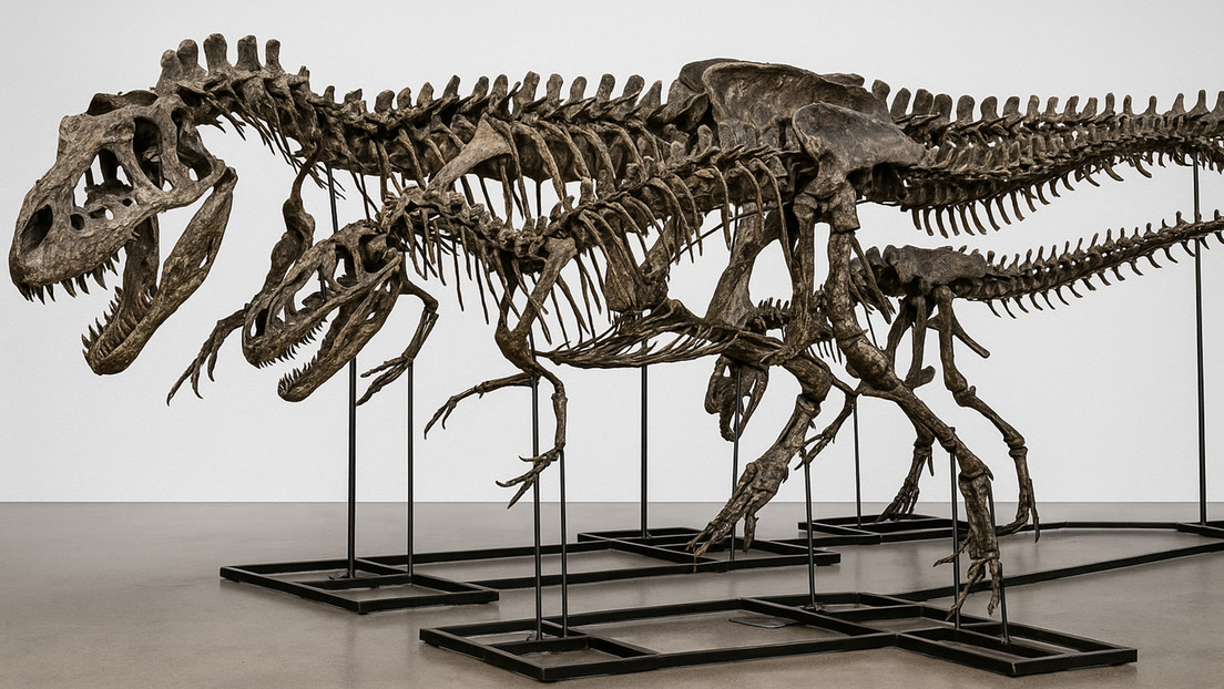 Incautan a un magnate chino fósiles de dinosaurios por más de 15 millones de dólares