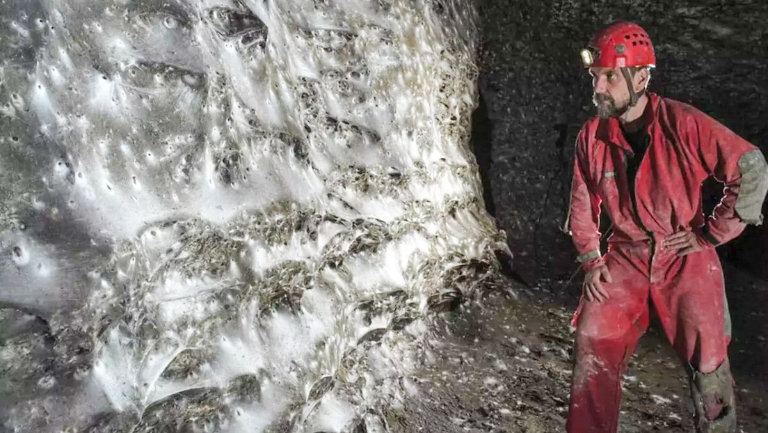 Descubren lo que podría ser la telaraña más grande del mundo y está llena de sorpresas