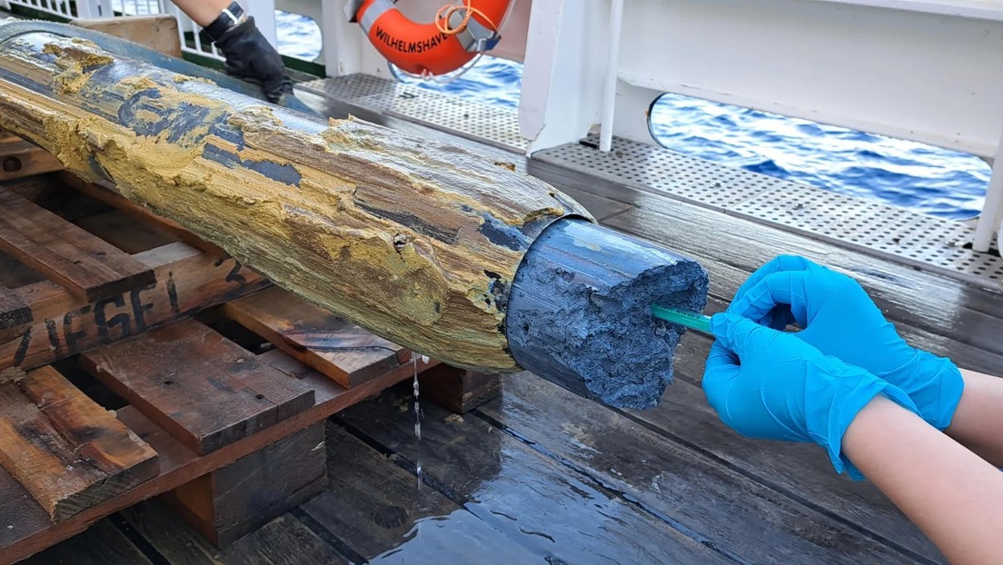 Descubren vida en un lugar inhóspito donde se creía imposible