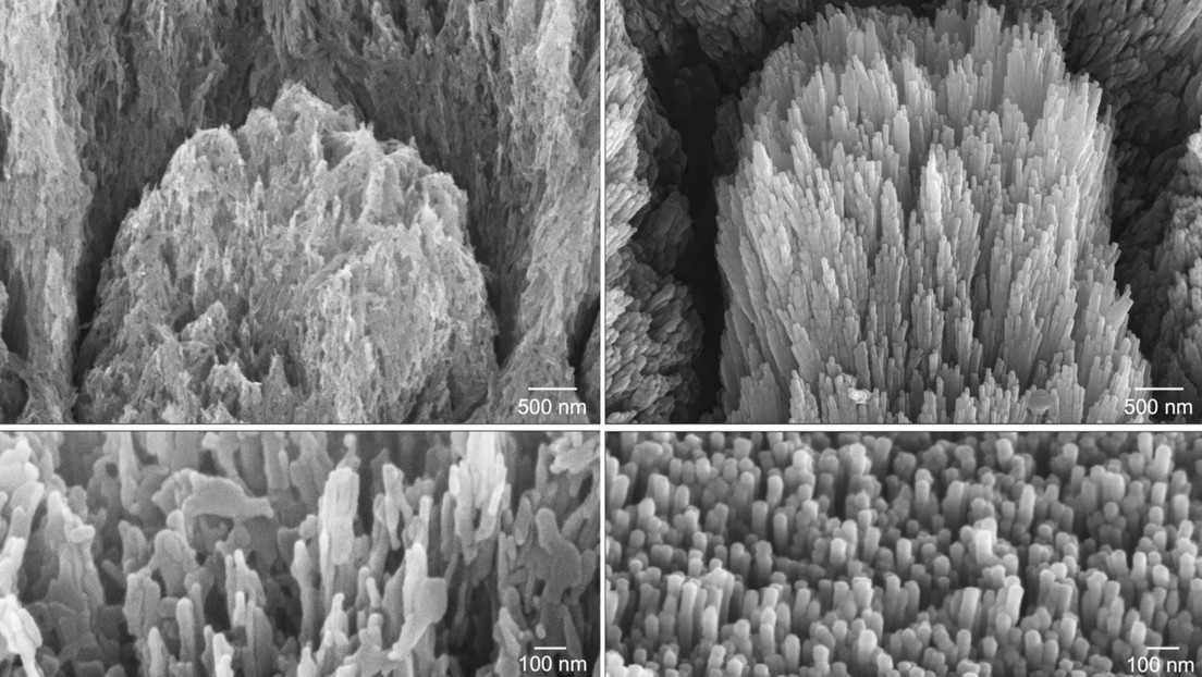 Revolución en la reparación de dientes: crean un gel que regenera el esmalte dental