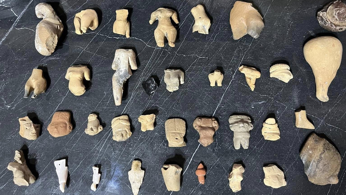 Busca en un campo de maíz y halla invaluables piezas arqueológicas para llenar un museo