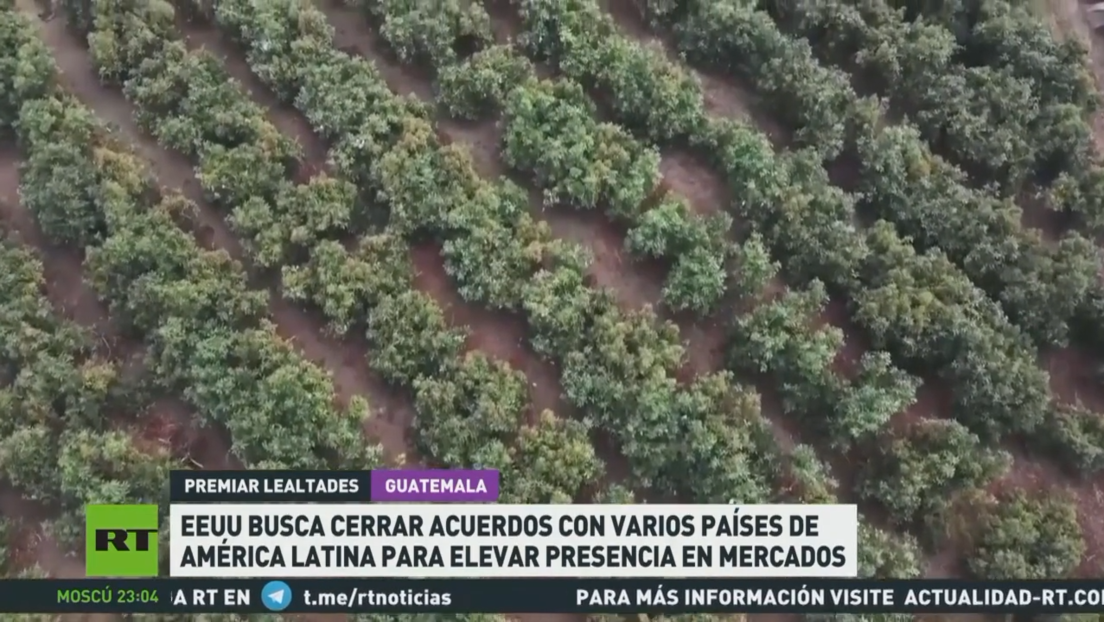 EE.UU. busca cerrar acuerdos con varios países de América Latina para elevar su presencia en mercados