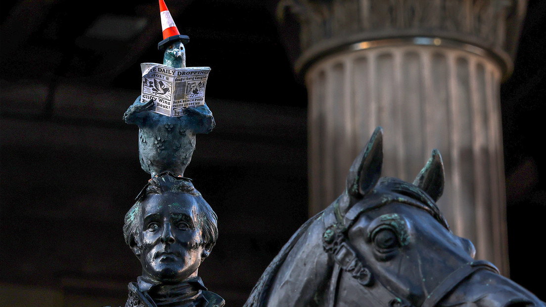 Una famosa estatua recibe una peculiar 'actualización' con una paloma de protagonista (VIDEO)