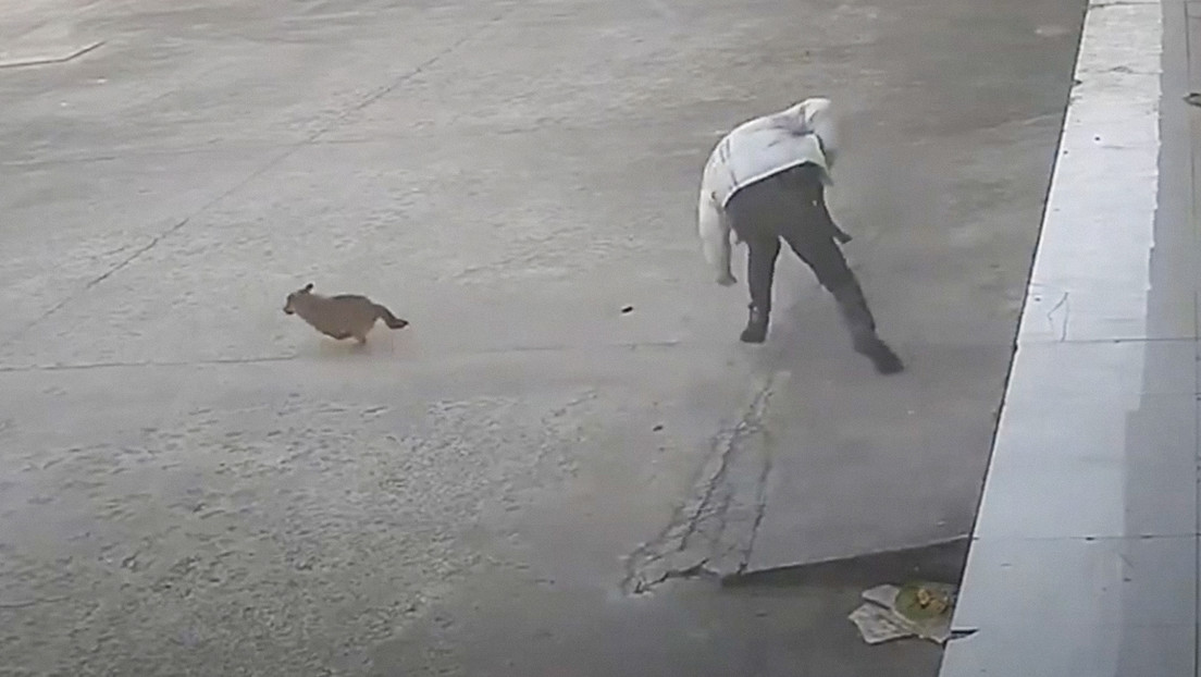 Karma instantáneo para hombre que intenta patear a un perro (VIDEO)