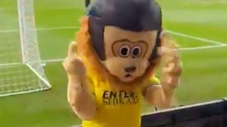 VIDEO: Mascota se hace viral por su inusual comportamiento en un partido de fútbol