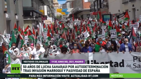 50 años de lucha saharaui por autodeterminación tras invasión marroquí y pasividad de España