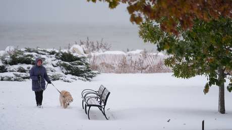 Ola de frío azota EE.UU., incluida una región caracterizada por su clima tropical (FOTOS)