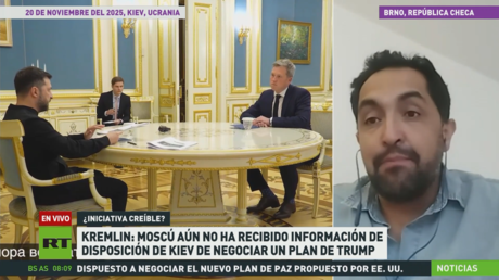 Experto: El plan de paz para Ucrania es la base de seguridad global