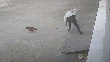 Karma instantáneo para hombre que intenta patear a un perro (VIDEO)