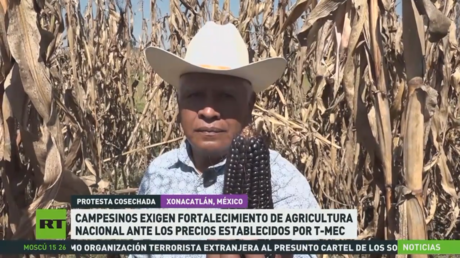 Campesinos mexicanos exigen fortalecimiento de agricultura nacional ante los precios establecidos por T-MEC