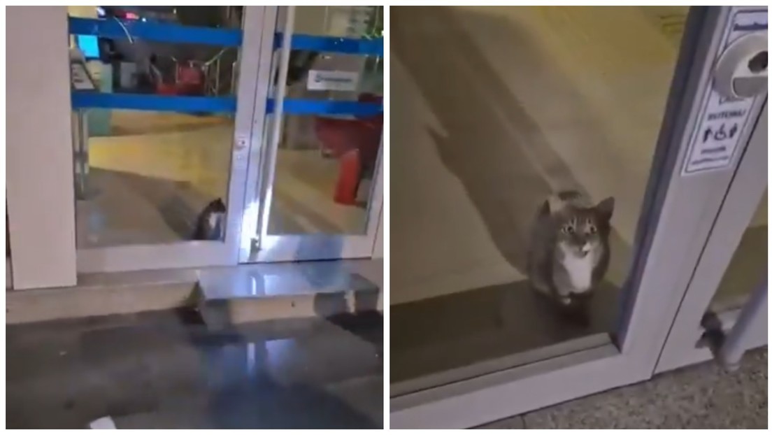 VIDEO: Policía responde a alarma de robo en un banco y se lleva una grata sorpresa