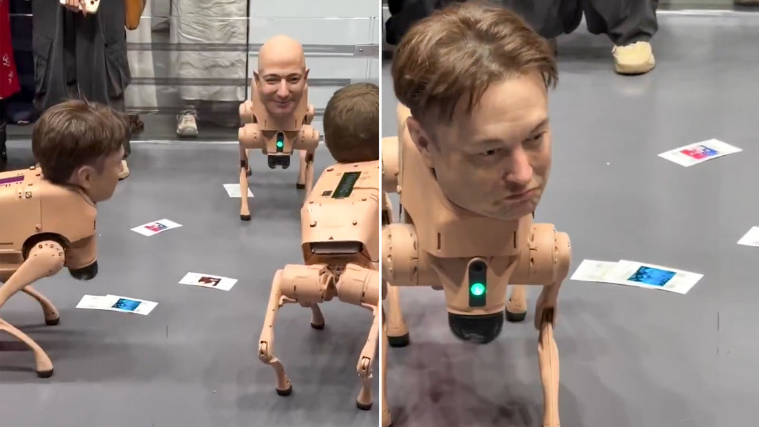 VIDEOS: Perros robot con cabezas hiperrealistas de Musk, Bezos y Zuckerberg defecan NFT