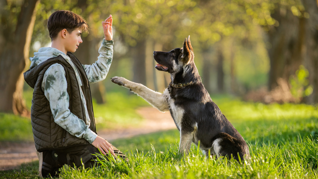 El mejor amigo del ser humano ¿y de su microbiota?: así influye un perro en tu salud mental