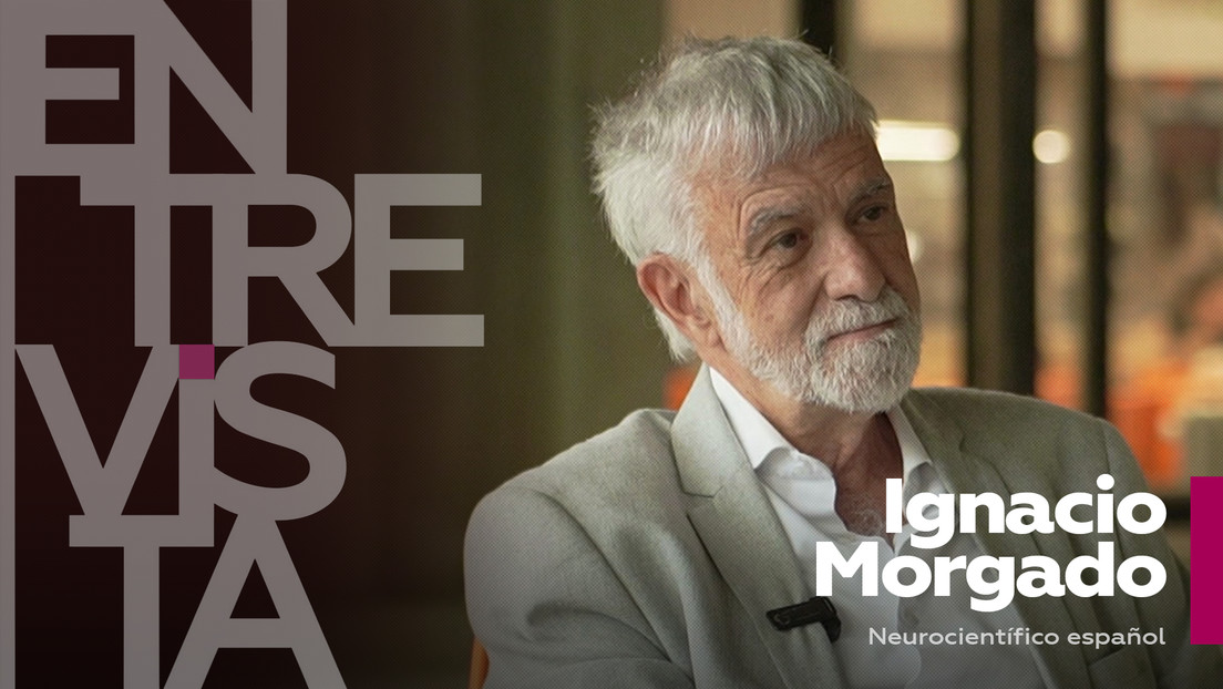 "El cerebro humano no tiene capacidad para elegir entre muchas cosas"