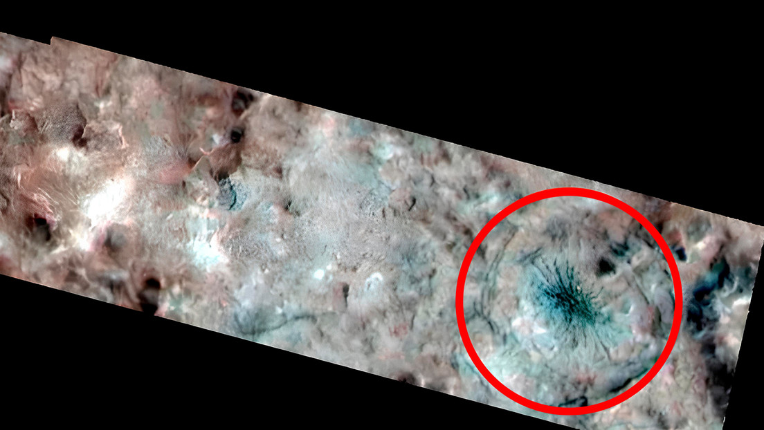 Explican qué es la 'araña gigante' de raro aspecto hallada en una luna de Júpiter