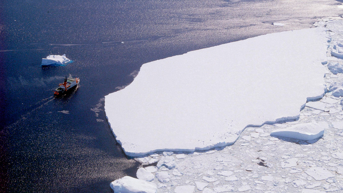 Expedición en busca de restos de un naufragio en la Antártida encuentra algo inesperado