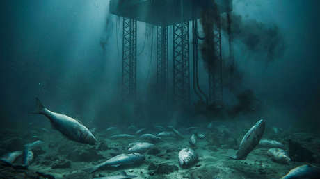 Exploración sísmica: este país suramericano buscará petróleo en el fondo marino