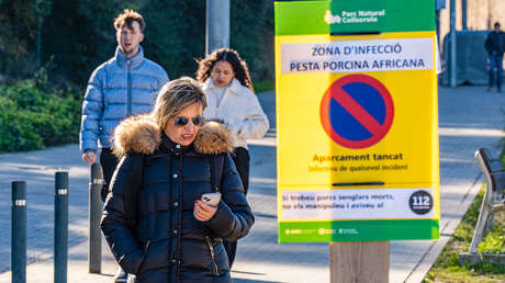 ¿Qué es la peste porcina africana?