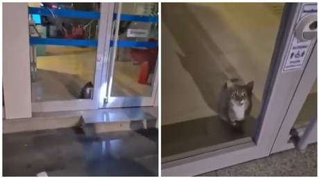 VIDEO: Policía responde a alarma de robo en un banco y se lleva una grata sorpresa