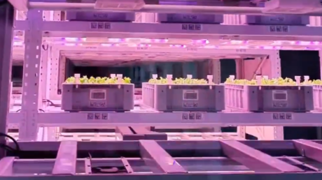 VIDEO: Así es la futurista granja china que planta, cultiva y cosecha por sí misma