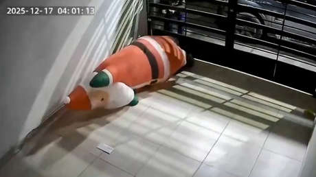 VIDEO: Roban un Papá Noel inflable de una cochera en México
