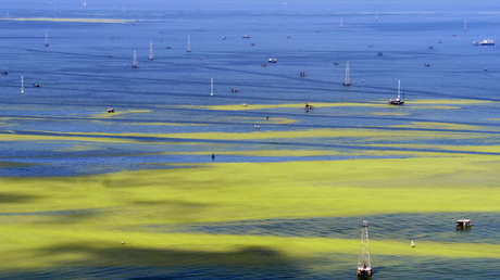 Los puntos claves de la nueva ley de Venezuela contra la piratería