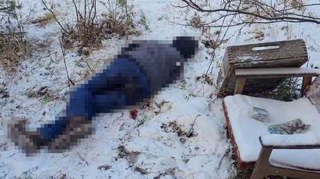 Impiden un atentado con explosivos contra un centro de almacenamiento federal de gas en Rusia