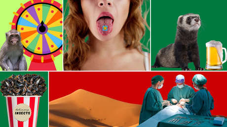 Perros cocainómanos y hurones alcoholizados: explosivo informe denuncia el despilfarro de Washington