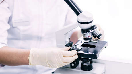 Microrobots más pequeños que un grano de sal: máquinas que sienten, piensan y nadan solas